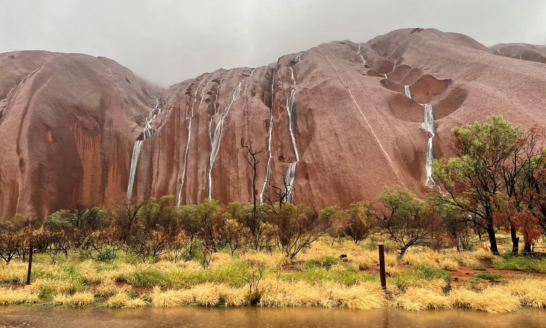 तस्वीरमा हेर्नुहोस् सय वर्षपछि अस्ट्रेलियामा देखिएको अद्भूत दृश्य, हेर्न पर्यटक जान पाएनन्