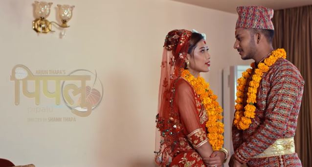 मन छुने पिपलु म्युजिक भिडियो सार्वजनिक (भिडियो)