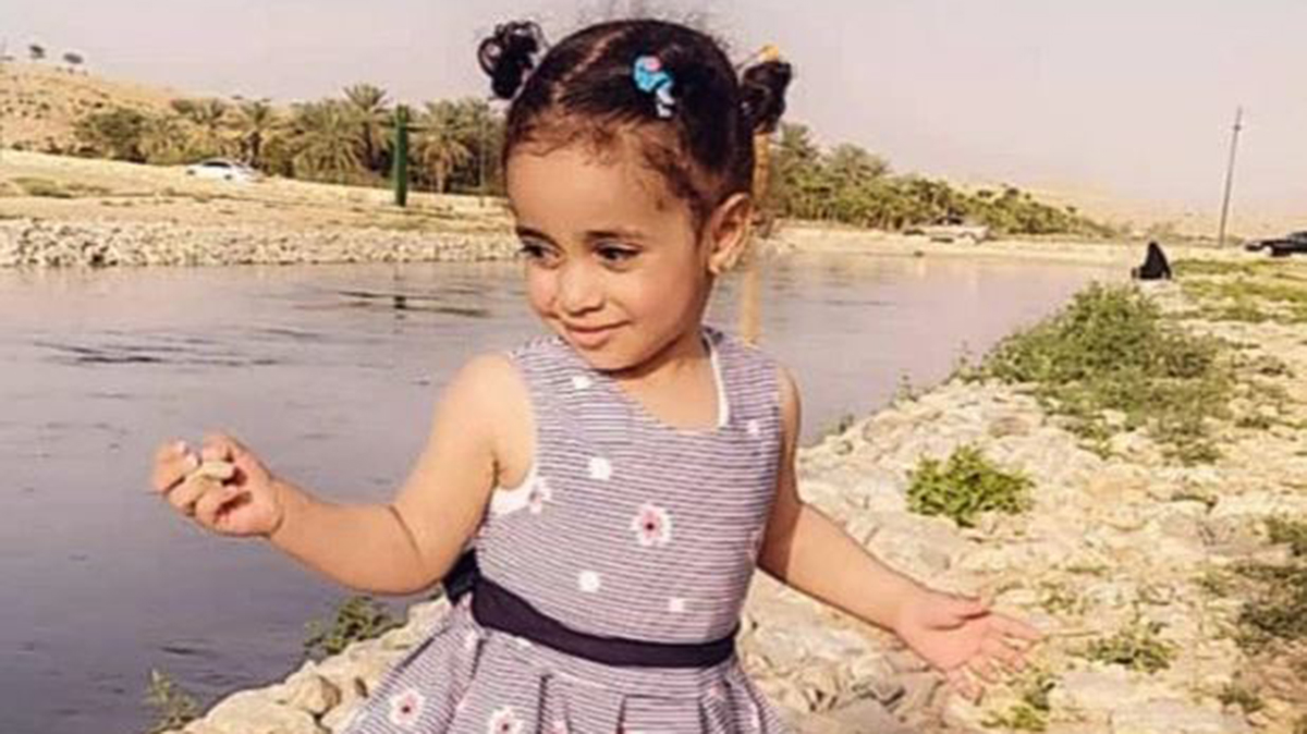 ४ वर्षकी अबोध बालिकालाई ५ वटा भुस्याहा कुकुरले आक्रमण गरेर मारे