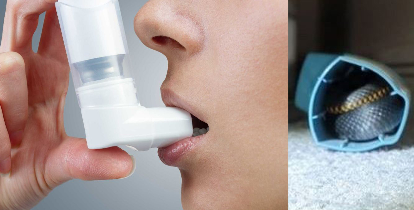 दमको इन्हेलरको भित्रपट्टि अत्यन्तै विषालु सर्प देखिएपछि…