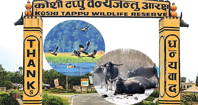 जनावरबाट पीडितलाई रु ३९ लाख राहत