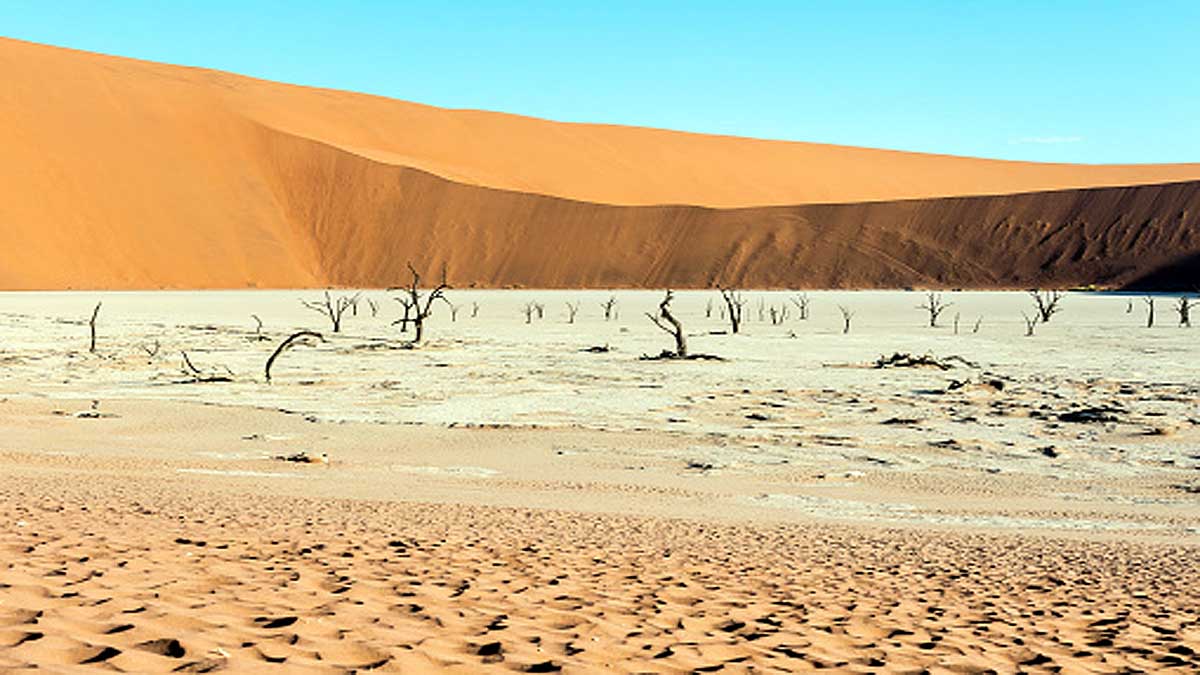 मानिससहित प्राणी र वनस्पति समाप्त हुनेछन्, पृथ्वीमा ब्याक्टेरियाको कब्जा हुनेछ