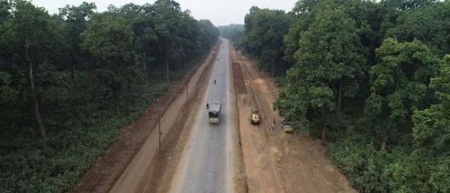 नारायणगढ–बुटवल सडकखण्ड विस्तारका लागि रुख काटिँदै