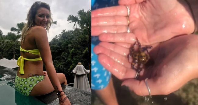 केही मिनेटमै २६ जना मानिसलाई मार्न सक्ने जीवलाई नचिनेर हातमा खेलाउँदा…