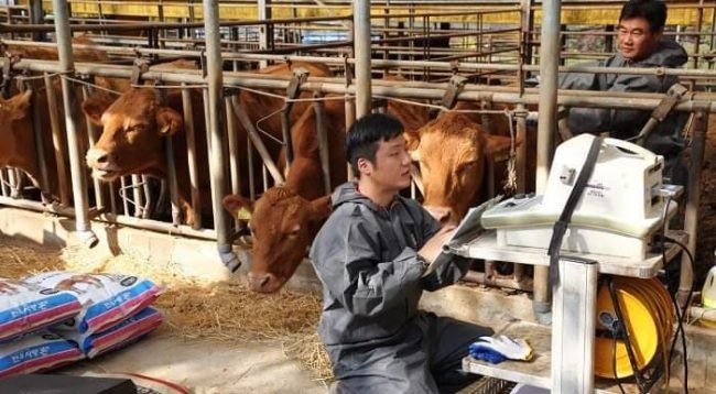 पर्याप्त विदेशी कामदार नभएपछि कोरियाको कृषि क्षेत्रमा कामदारको हाहाकार