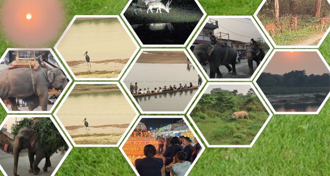 बाैरिँदै गरेकाे साैराहा फेरि सुनसान {फाेटाेफिचर}