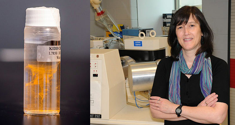 विश्वको सबैभन्दा पुरानो १ अर्ब ६० करोड वर्षको पानी भेटियो, कस्ता छन् यसका विशेषता ?