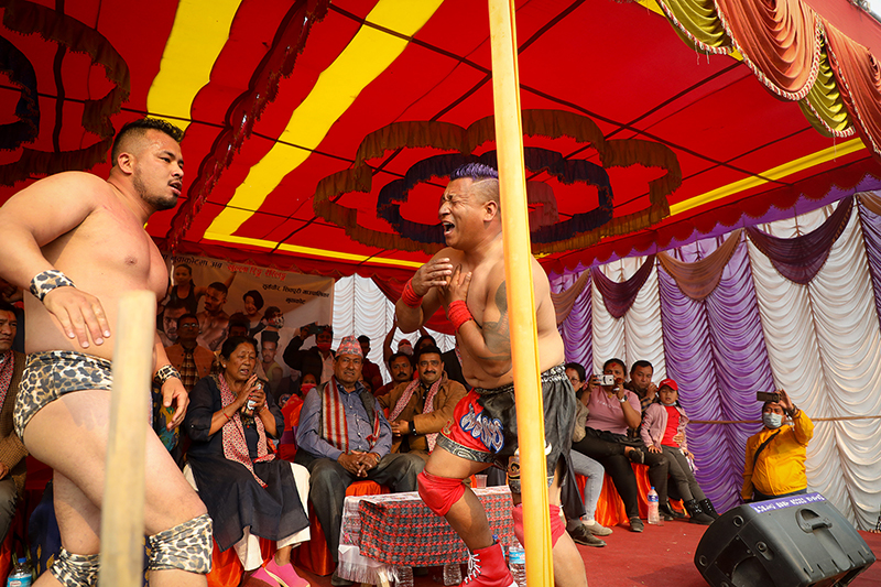 नुवाकोट टाइगर च्याम्पियन