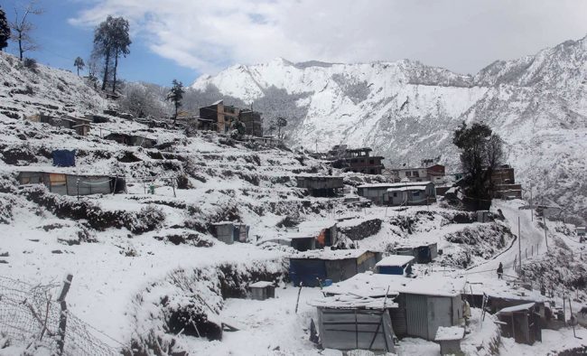 रसुवाका उच्च भागमा हिमपात