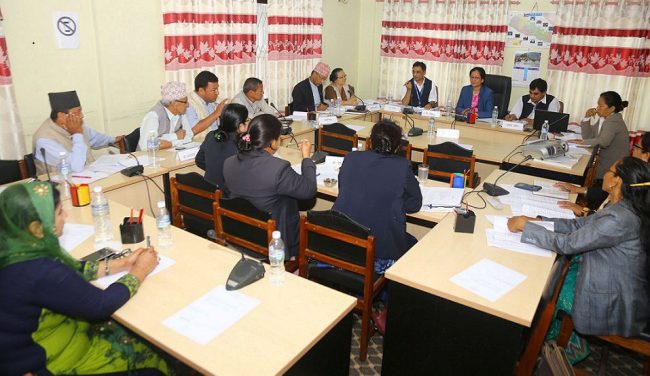 बाल सङ्गठनको अध्ययन प्रतिवदेन पारित