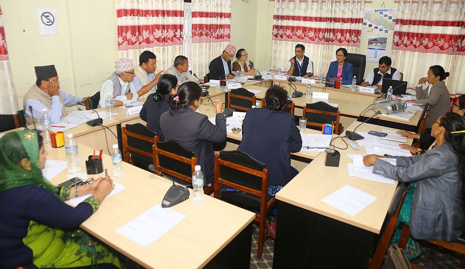 बाल सङ्गठनको अध्ययन प्रतिवदेन पारित