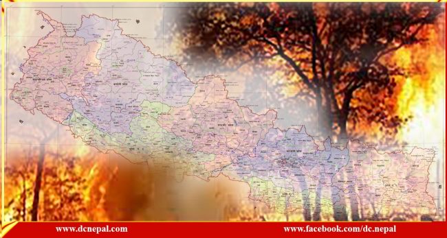 वर्षेनी जल्छ वनः सरकारी कार्यालय कार्यक्रमविहीन