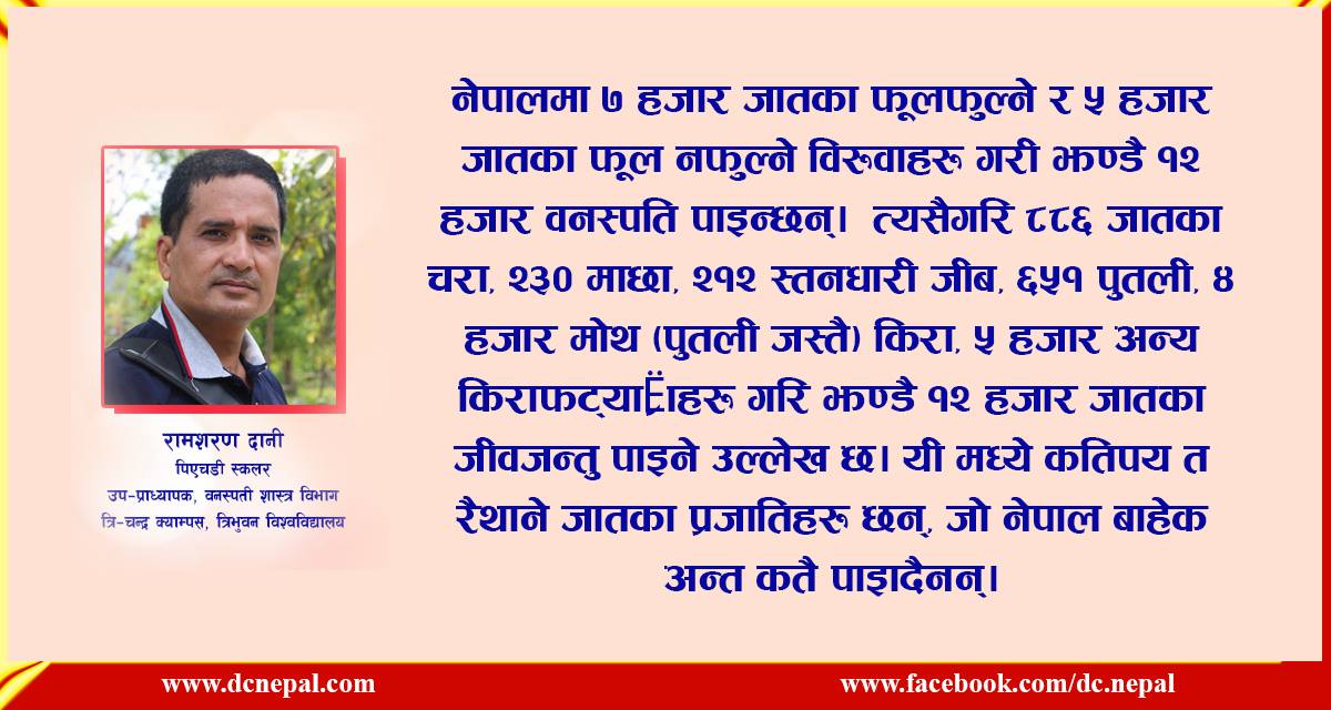पृथ्वी जस्तो छ त्यस्तै राखौं, नभए हामी पनि डाइनोसर हुनेछौं