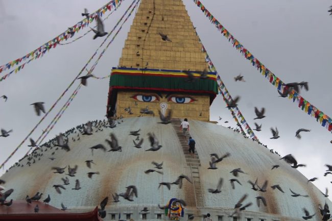 बुद्ध जयन्तीमा बौद्धनाथ स्तुपालाई सजाइयो (फोटोफिचर)