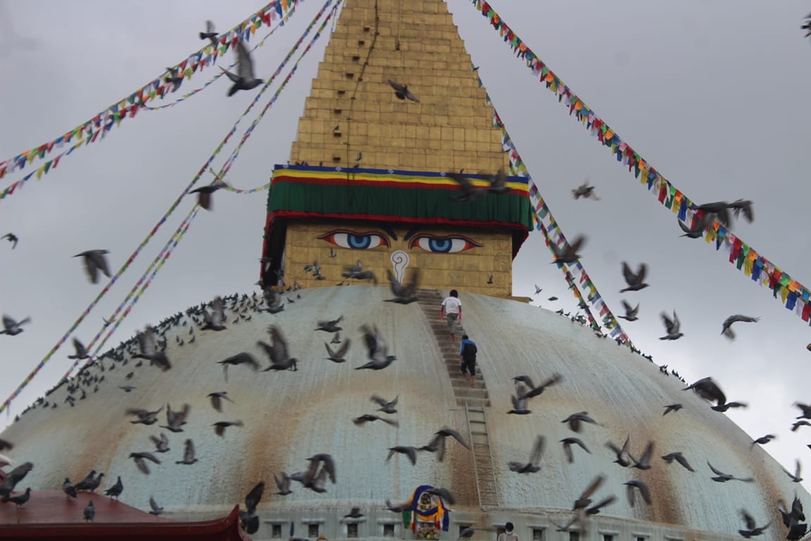 बुद्ध जयन्तीमा बौद्धनाथ स्तुपालाई सजाइयो (फोटोफिचर)