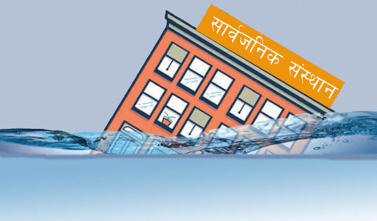 सरकारी स्वामित्वका २४ संस्थान नाफामा, १८ संस्थान घाटामा