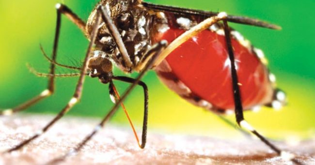 सुदूरपश्चिममा औलोको जोखिम बढ्दै