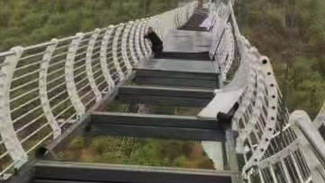 चर्को हुरीले सय मिटर अग्लो सिसाको पुल उडाएपछि एक पर्यटक अलपत्र