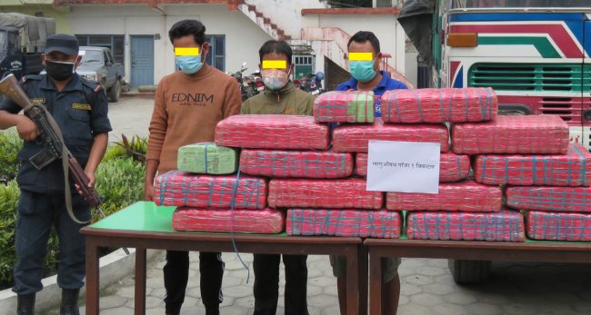 १ क्वीण्टल गाँजासहित ३ जना पक्राउ