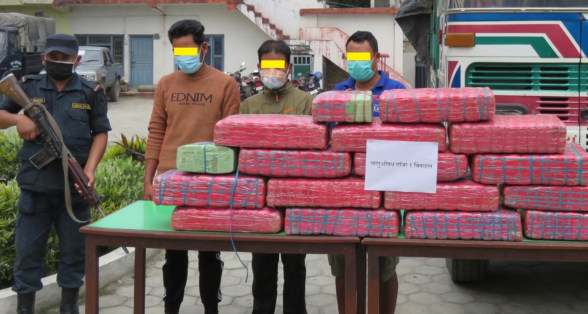 १ क्वीण्टल गाँजासहित ३ जना पक्राउ