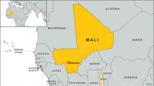 मालिको संवैधानिक अदालतद्धारा उपराष्ट्रपतिलाई अन्तरिम राष्ट्रपति घोषणा