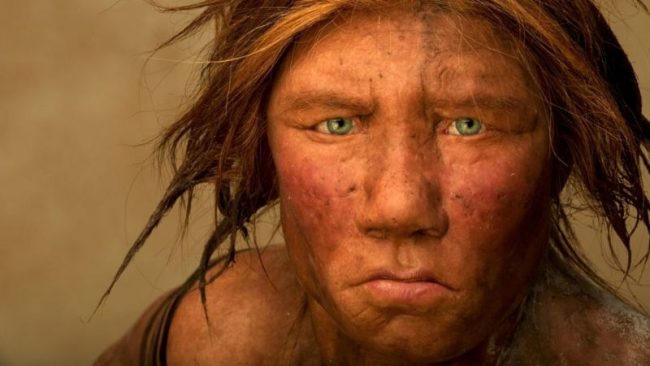 इजरायलमा फेला पर्‍याे नयाँ प्रकारको प्राचीन मानव प्रजातिको अवशेष