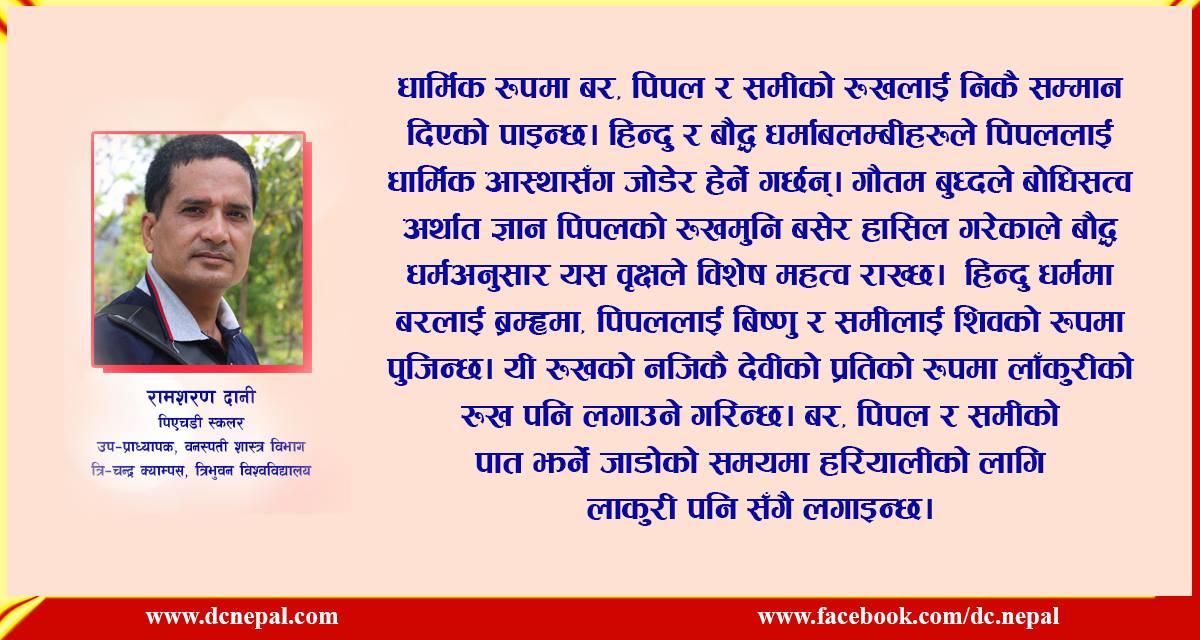 सन्दर्भ विश्व वातावरण दिवस : मानिस र अक्सिजनको सम्बन्ध