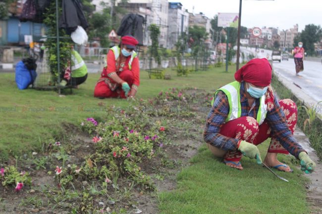 काठमाडौं उपत्यकाको सौन्दर्यताका लागि वृक्षारोपण र बगैंचा निर्माण (फोटोफिचर)