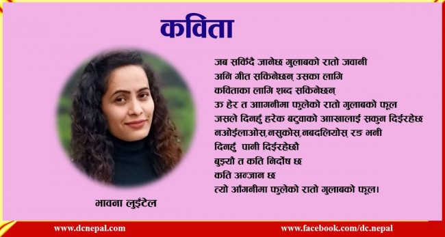 आँगनीमा फुलेको रातो गुलाबको फूल (कविता)