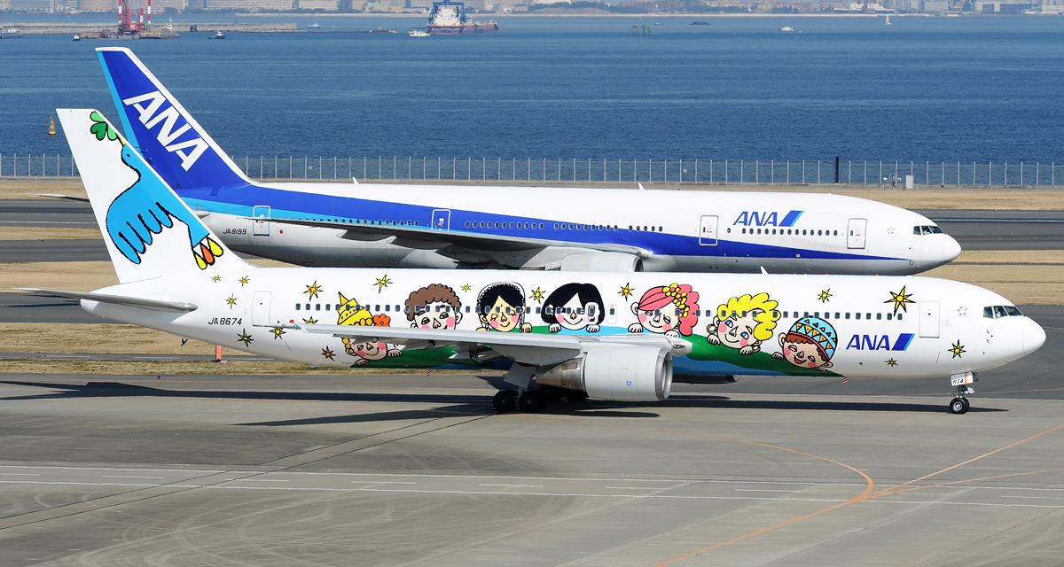 उड्न नपाएपछि बिहे हल बने विमान, एयरपोर्टमा ग्राउण्डेड विमानमा भाडा लिएर बिहेको कार्यक्रम