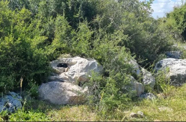 इजरायलले बनायो यस्तो प्रविधि, अब सैनिक दुश्मनले थाहै नपाइ ‘गायब’ हुन सक्ने