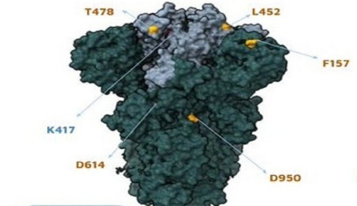 भारतमा भेटियो डेल्टा म्यूटेशन, दोश्रो लहरभन्दा पनि शक्तिशाली हुने