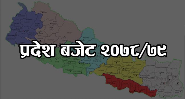 सातवटै प्रदेशकाे बजेट आज, काेराेना नियन्त्रणलाई  प्राथमिकता