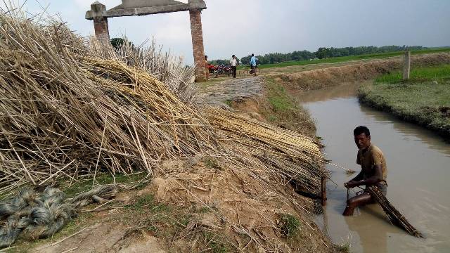 सानाठूला सबै किसानले गर्ने सनपाट खेती हराउँदै