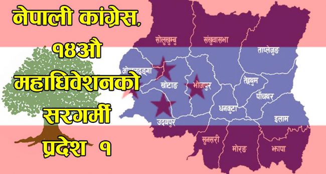 कांग्रेस महाधिवेशन :  प्रदेश एकबाट को–को छन् जिल्ला सभापतिको आकांक्षी ?