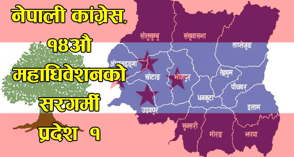 कांग्रेस महाधिवेशन :  प्रदेश एकबाट को–को छन् जिल्ला सभापतिको आकांक्षी ?