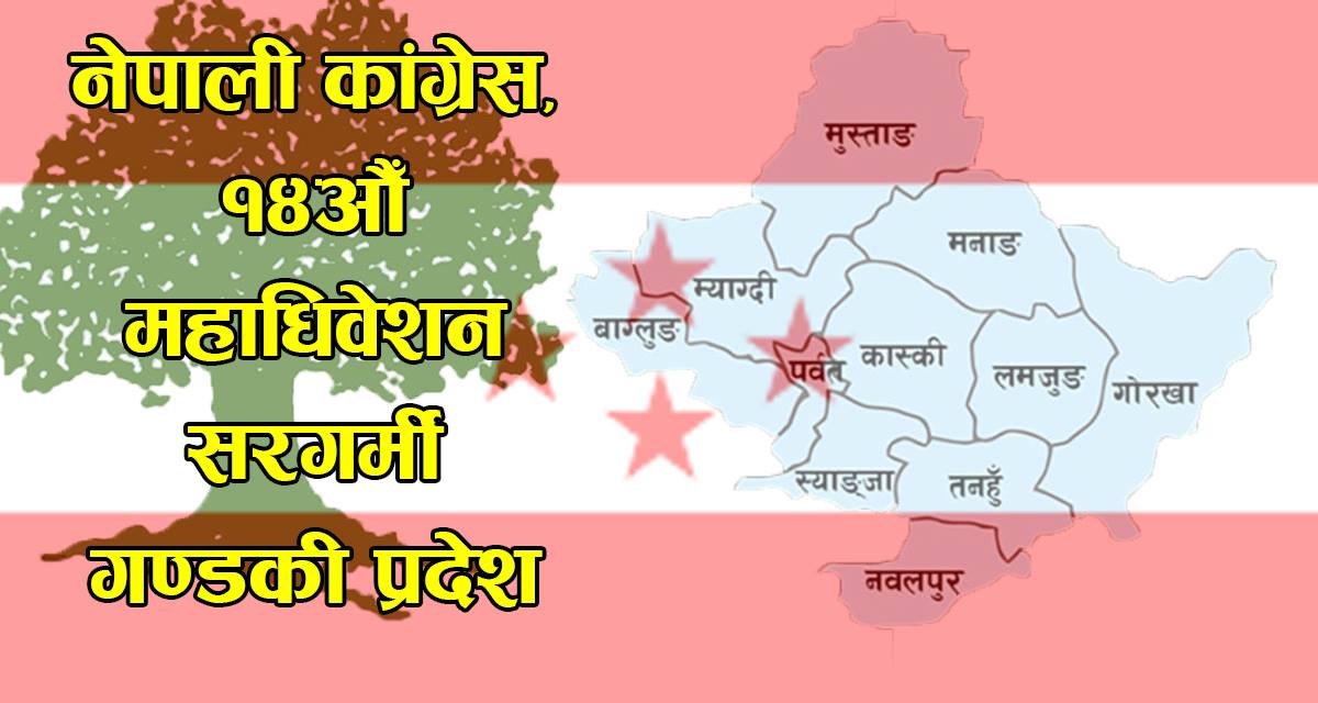 कांग्रेस महाधिवेशन : गण्डकी प्रदेशमा को को छन् जिल्ला सभापतिको आकांक्षी ?