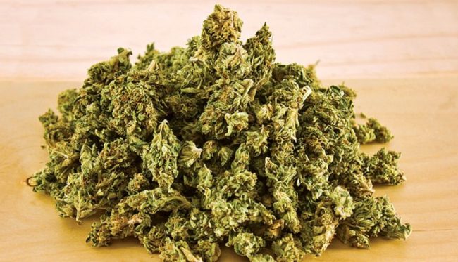 ६ सय ७० केजी गाँजा बराबद