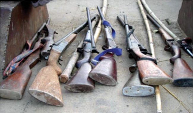 भेटियो ओढारमा २२ नाल भरुवा बन्दुक