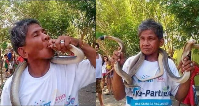 आफूलाई ‘विष प्रतिरोधी’ दावी गर्ने ‘स्नेक म्यान’ले कोब्रालाई किस गर्न खोज्दा जिब्रोमा टोकेर मृत्यु