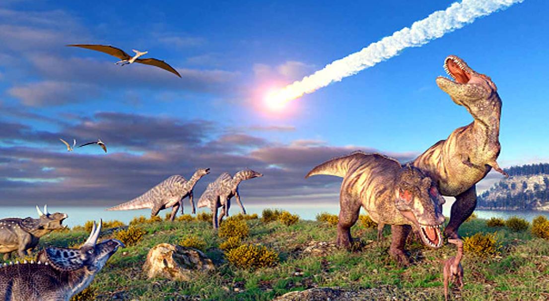 अमेरिकामा लुकेको छ उल्कापिण्ड ठोक्किएर बनेको ‘महालहर’, यसमा डायनोसरको अन्त्य भयो