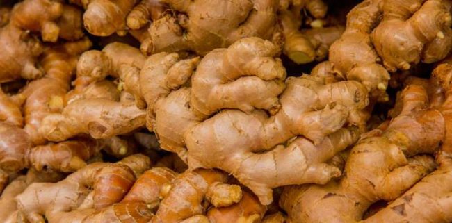 अदुवाखेतीबाट आम्दानी बढ्दै