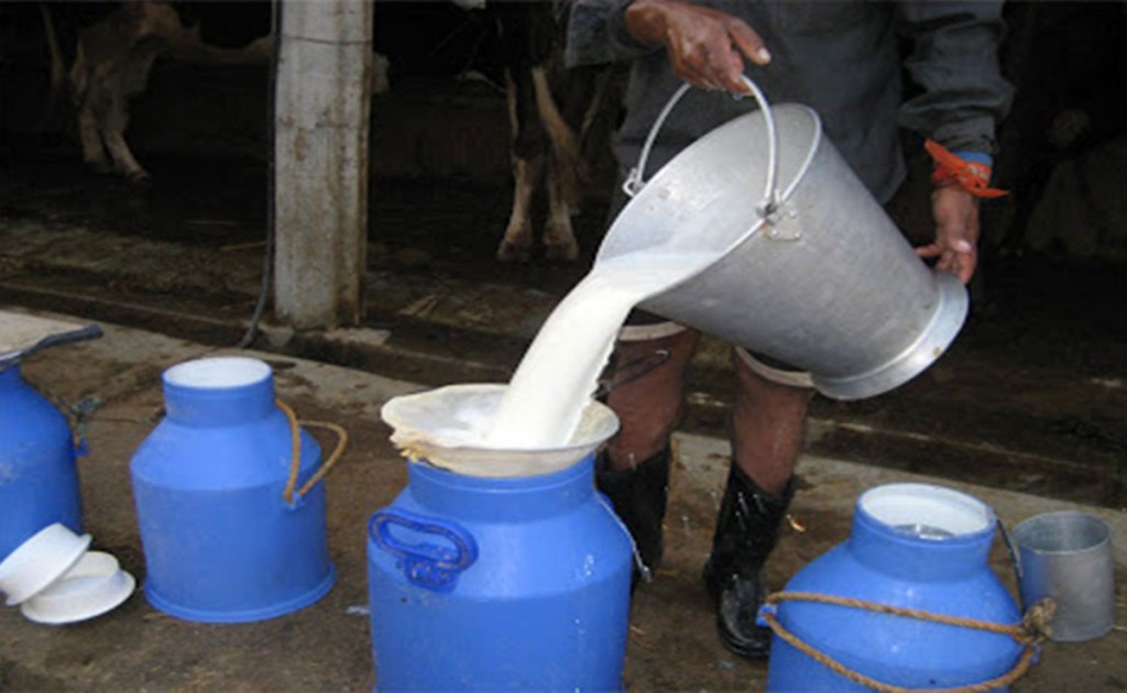 दूधले उचित मूल्य नपाउँदा भोजपुरका किसान चिन्तित