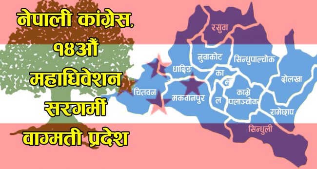 कांग्रेस महाधिवेशन : बागमती प्रदेशबाट को–को छन् जिल्ला सभापतिका आकांक्षी?