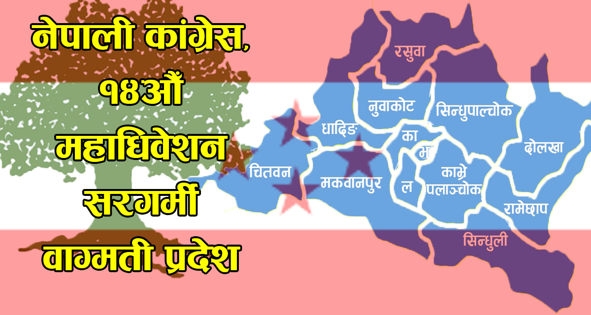 कांग्रेस महाधिवेशन : बागमती प्रदेशबाट को–को छन् जिल्ला सभापतिका आकांक्षी?