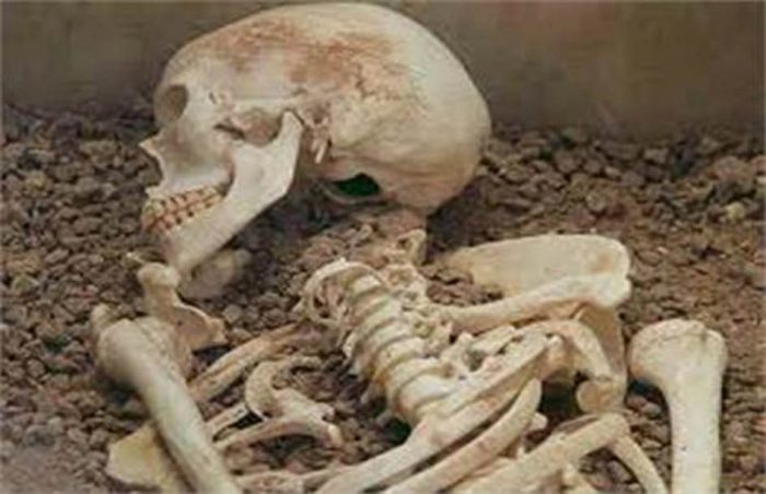 सूर्यविनायकको जङ्गलमा भेटियो मानव कङ्काल