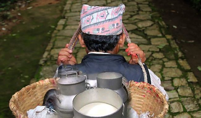 दुध बिक्री गर्ने कृषकलाई १८ लाख अनुदान वितरण