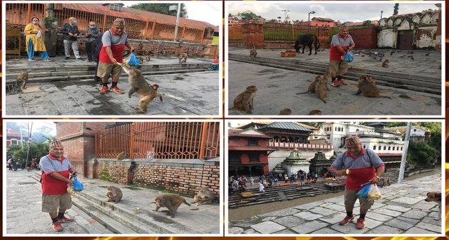 ‘डाक्टर होइनन्, तर डाक्टरभन्दा कम छैनन् पन्त’