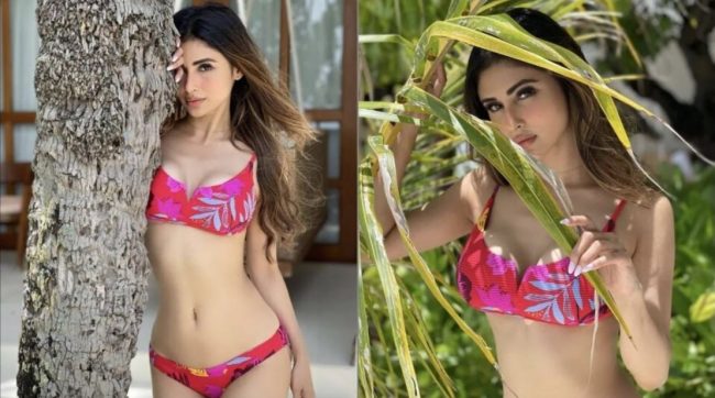 मौनी रोयले शेयर गर्नेबित्तकै किन डिलिट गरिन् यी बोल्ड फोटोहरु ?