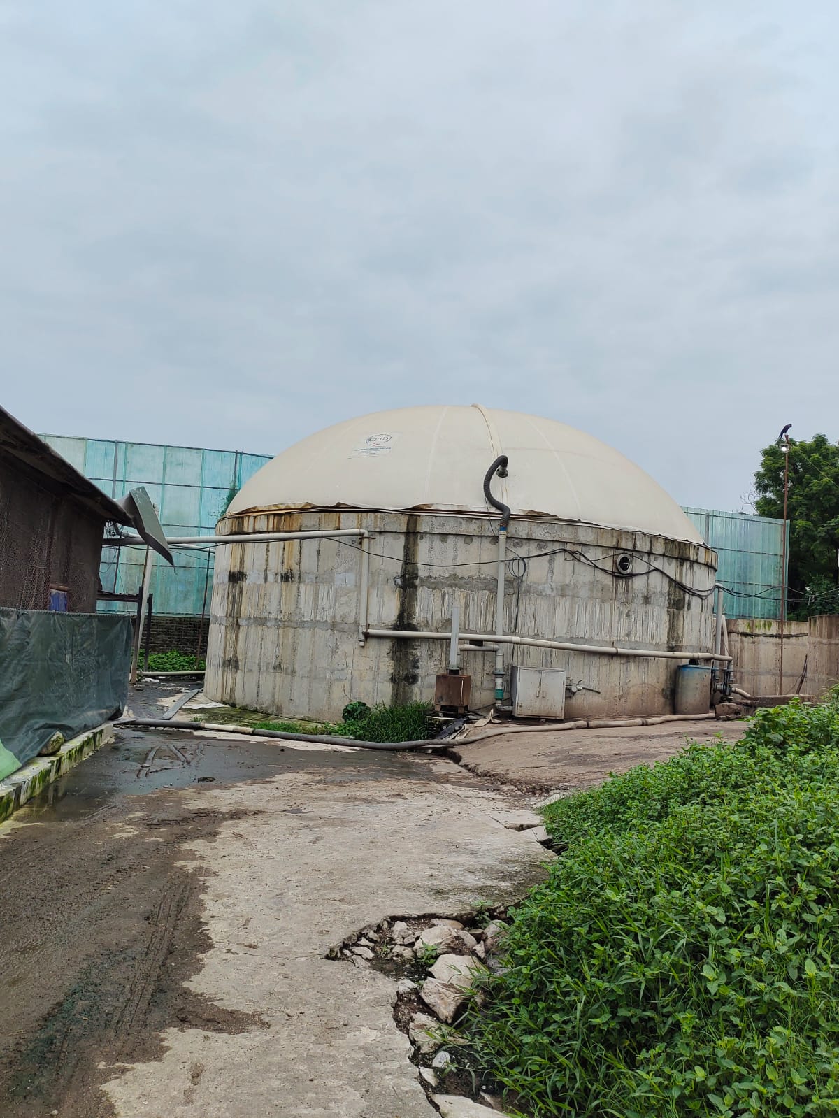 कुखुराको सुलीबाट बिजुली ! ६२ केभिएको जेनेरेटर